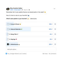 iteration co lab creator poll for color palette themes